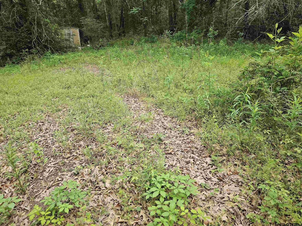 Picture 15