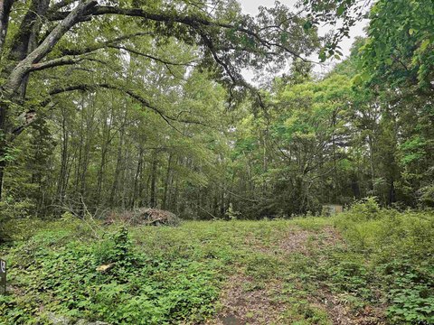 Wooded Residential Development Lot