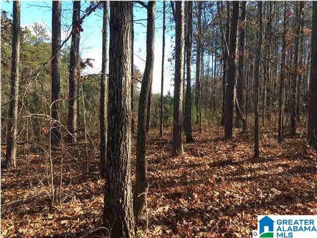 Land Near Lake Logan Martin