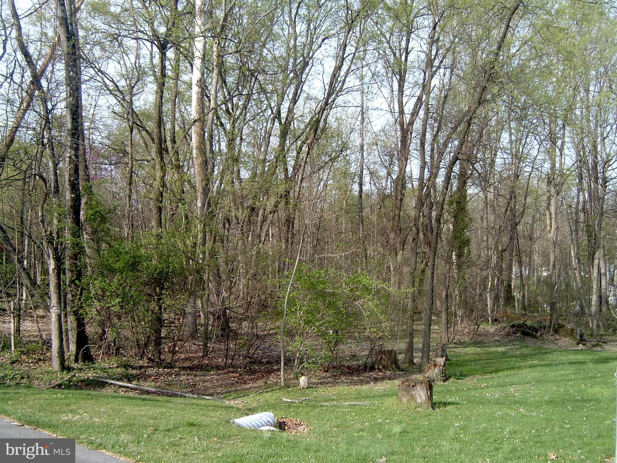Level Lot with Potomac Access