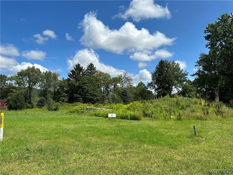 Residential Lot in Allegany, NY