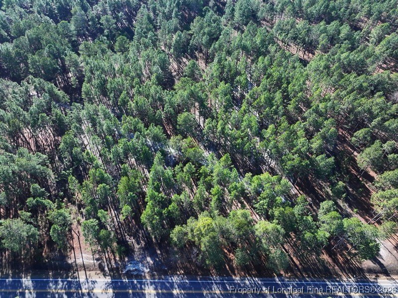 Heavily Wooded Residential Lot