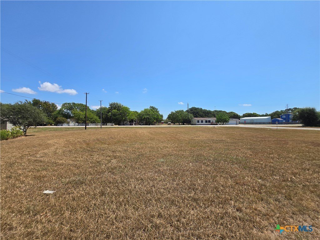 Picture 15