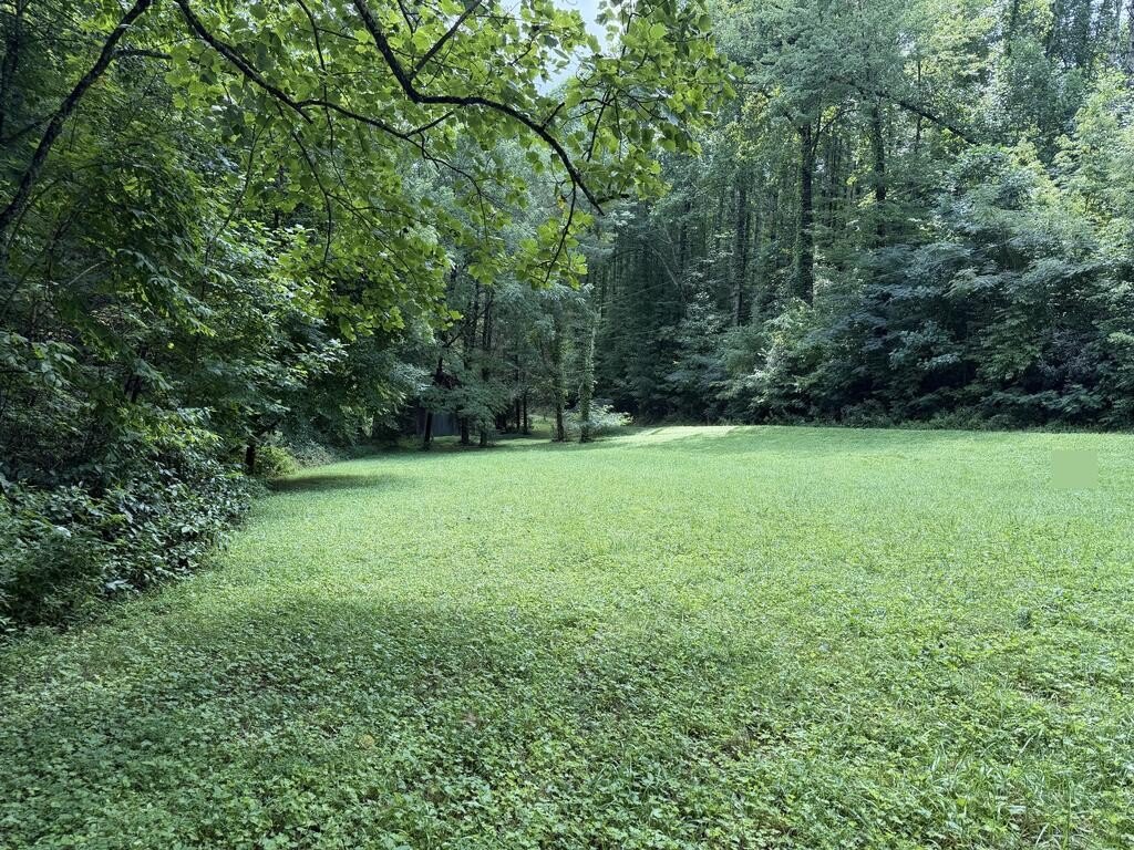 Picture 13