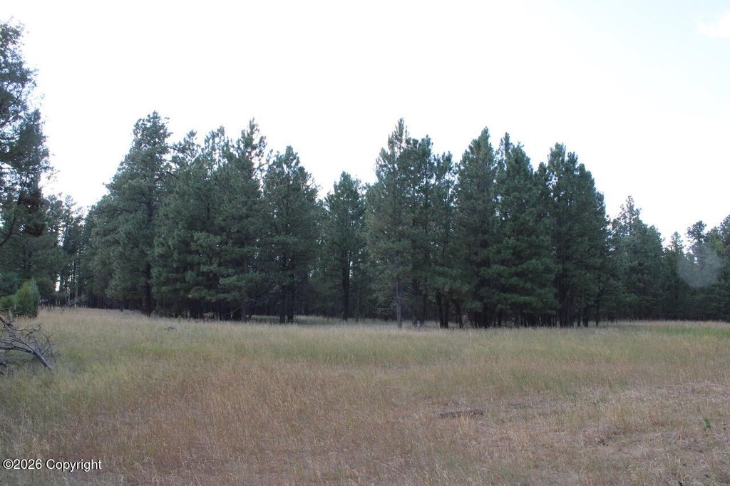 Picture 40