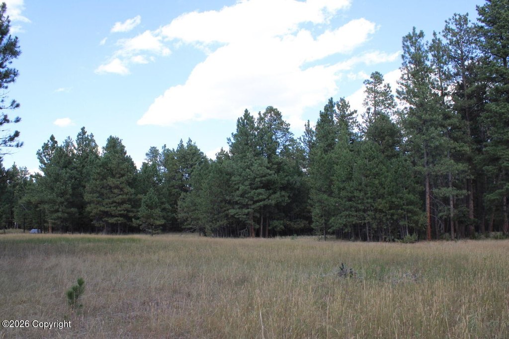 Picture 51