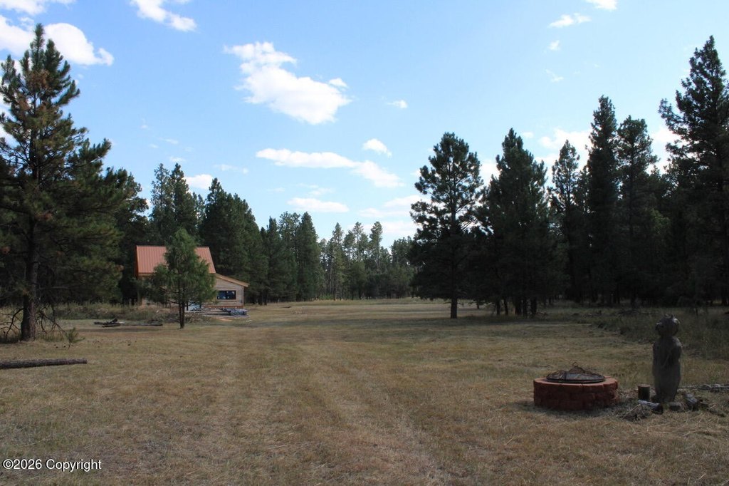 Picture 12