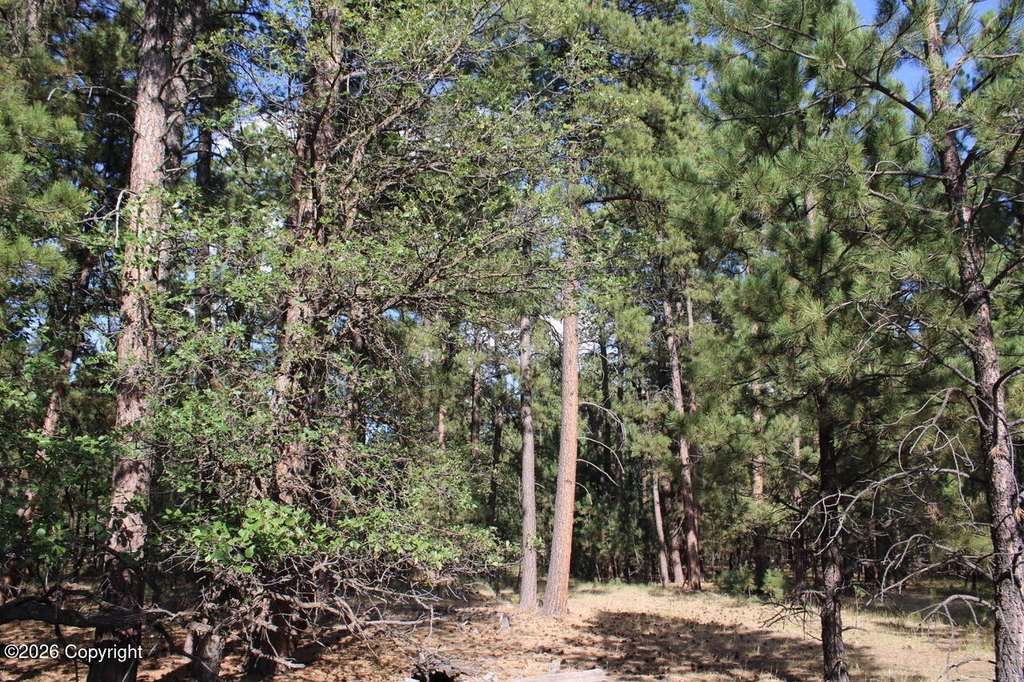 Picture 47