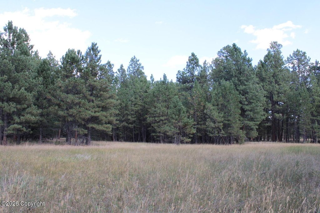 Picture 44