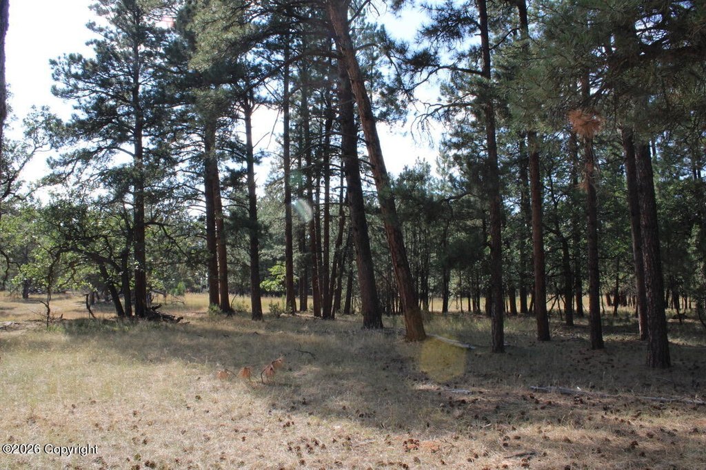 Picture 45