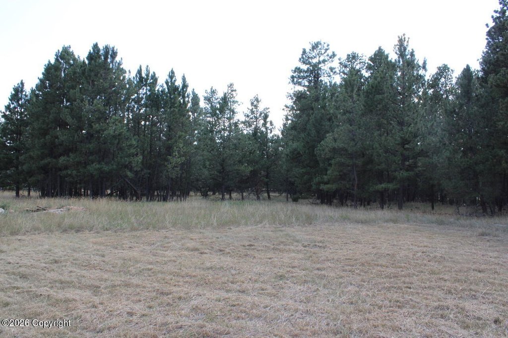 Picture 43