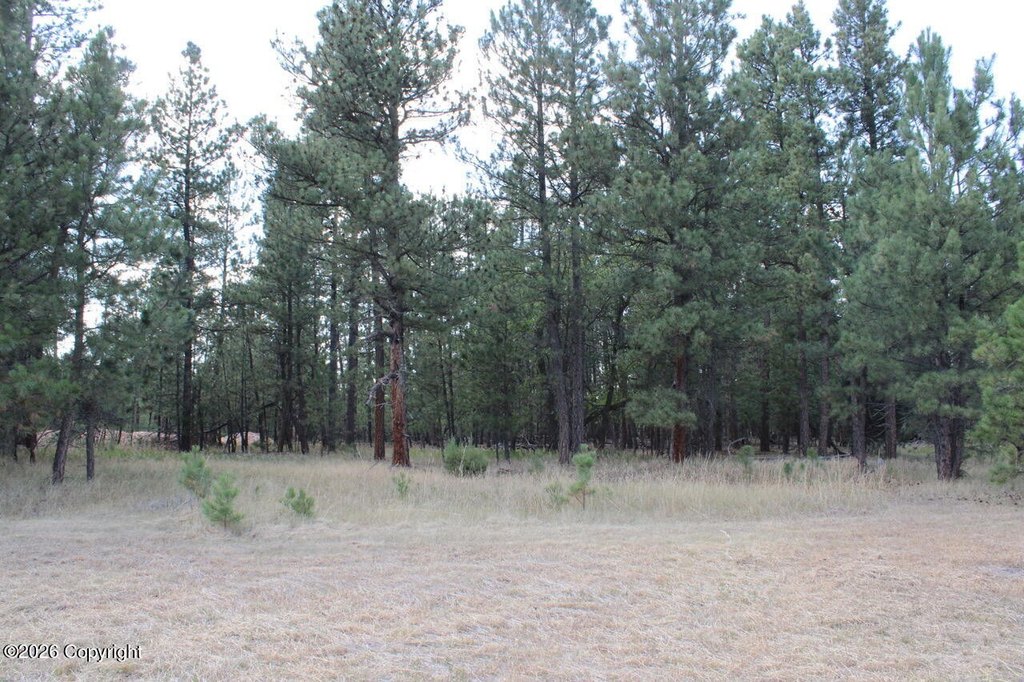 Picture 49