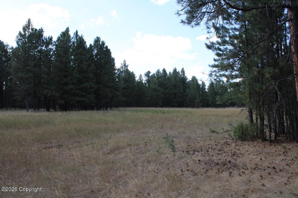 Picture 39
