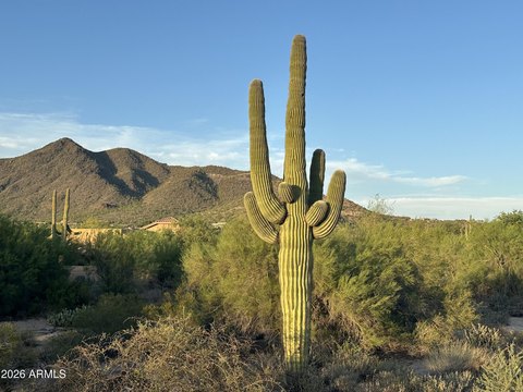 LAND - Carefree, AZ