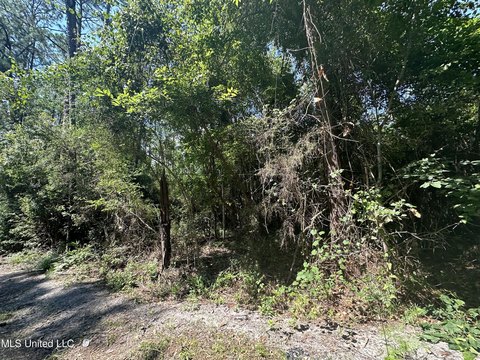 LAND - Ocean Springs, MS