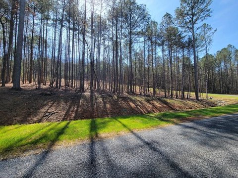 Ellijay Vacant Lot Ready to Build