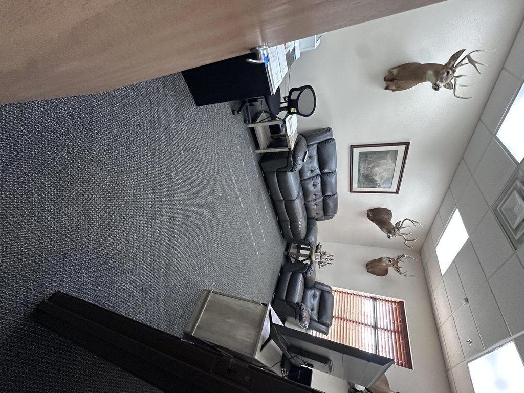 Picture 18