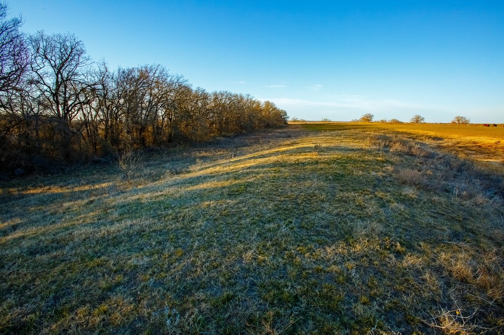 Picture 21