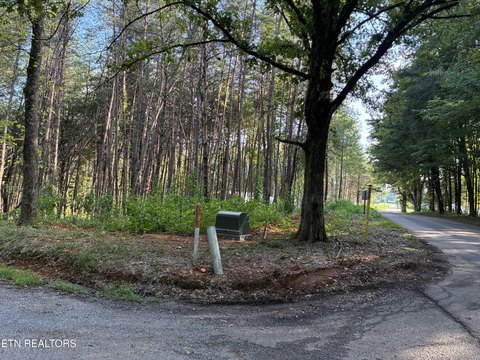 Lots & Acreage, Niota, TN