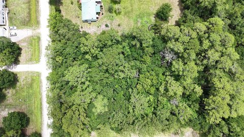 Undeveloped Land in Bunnell, FL