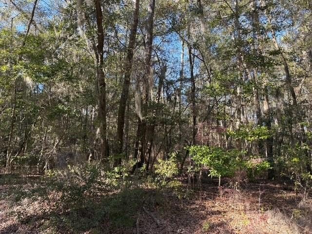 Midway, GA Wooded Homesite