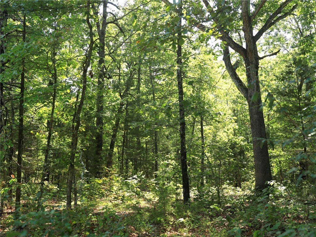 Horseshoe Bend Land For Sale