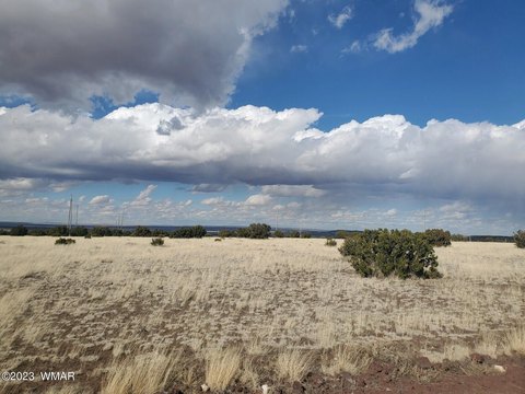 Land in Concho, Arizona