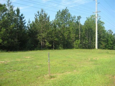 C-2 Zoned Commercial Land