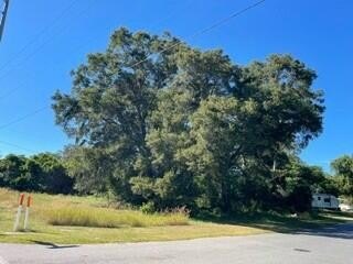 Land, High Springs, FL