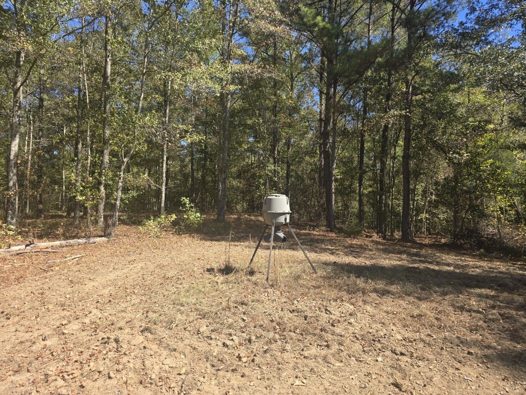Picture 41
