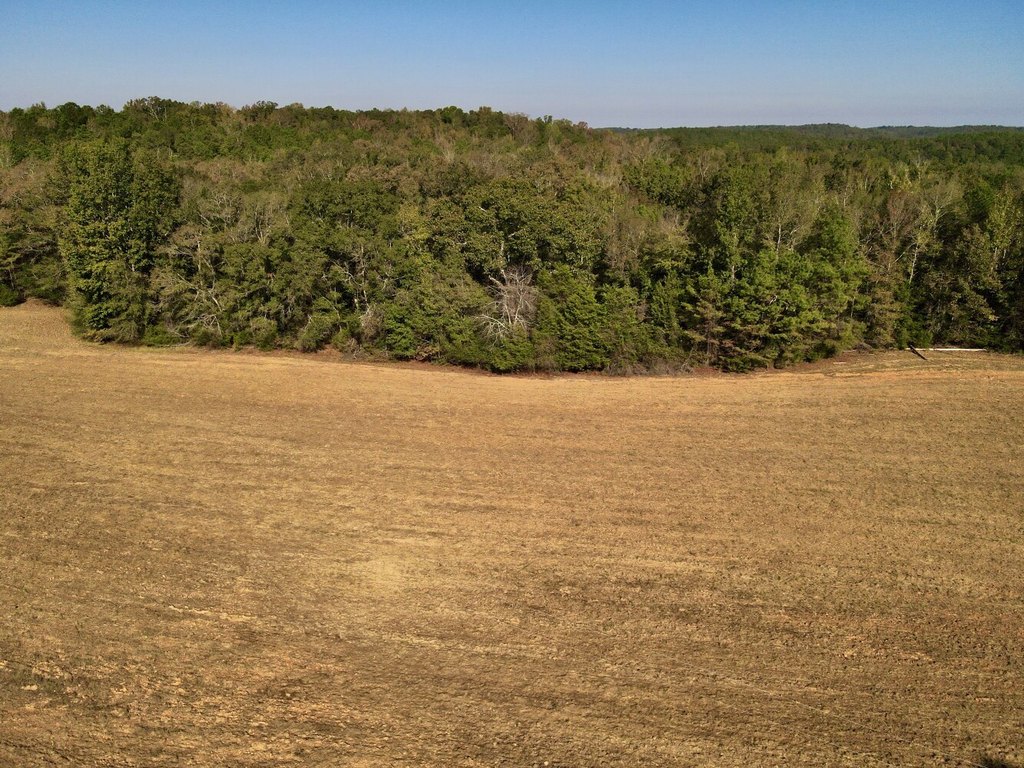 Picture 37