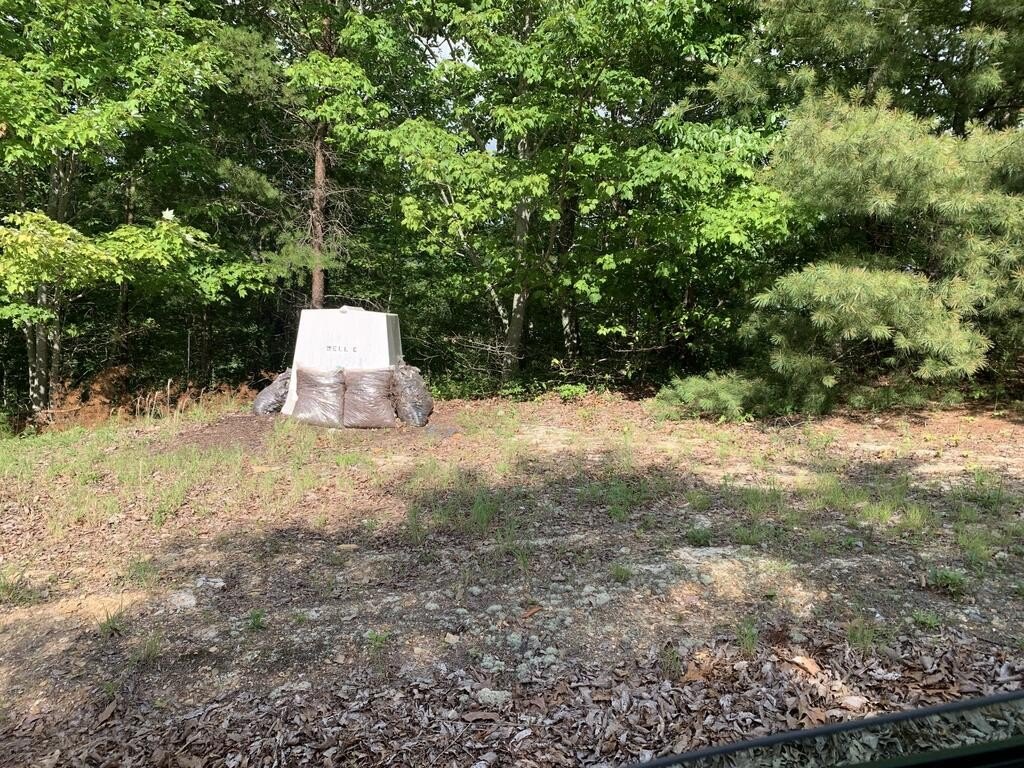 Picture 22