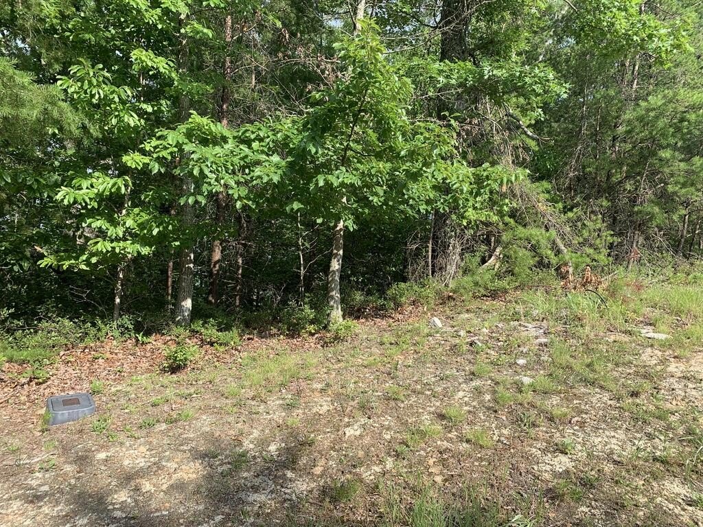 Picture 18