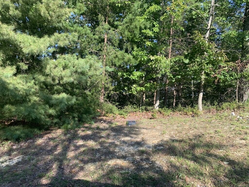 Picture 4