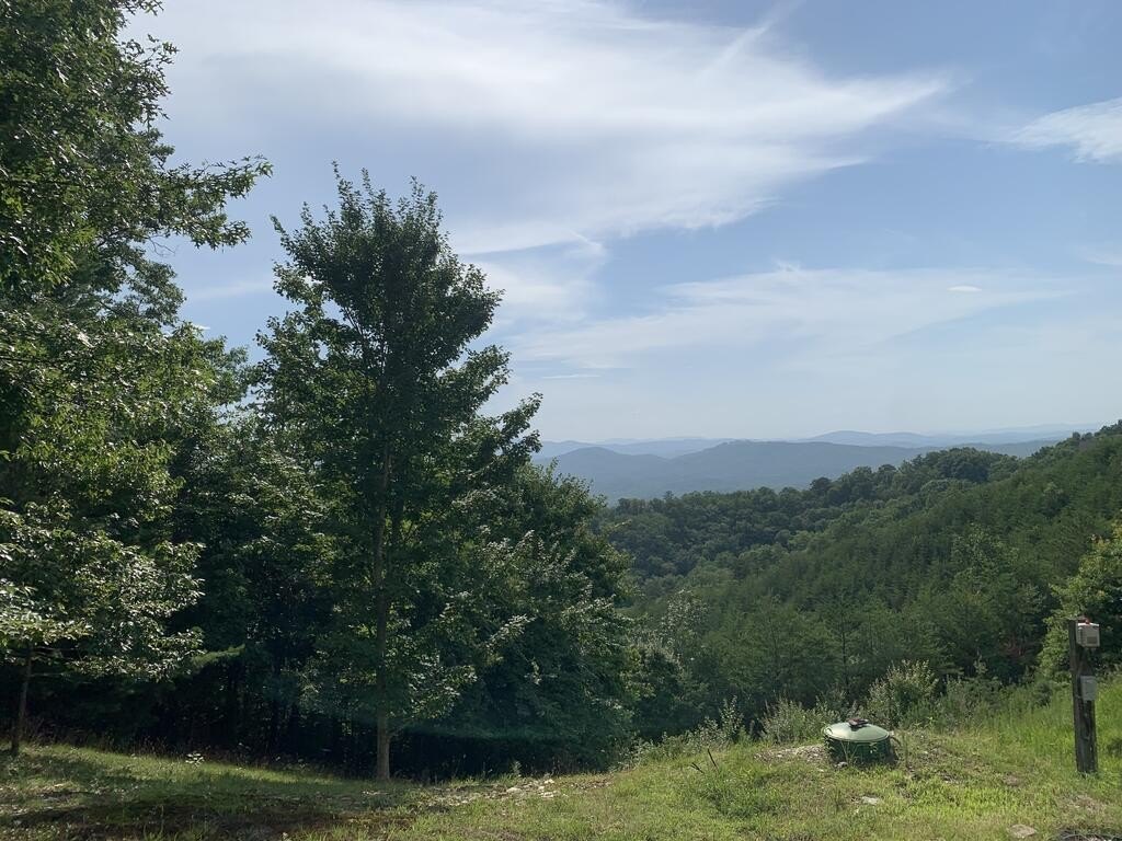 Picture 24