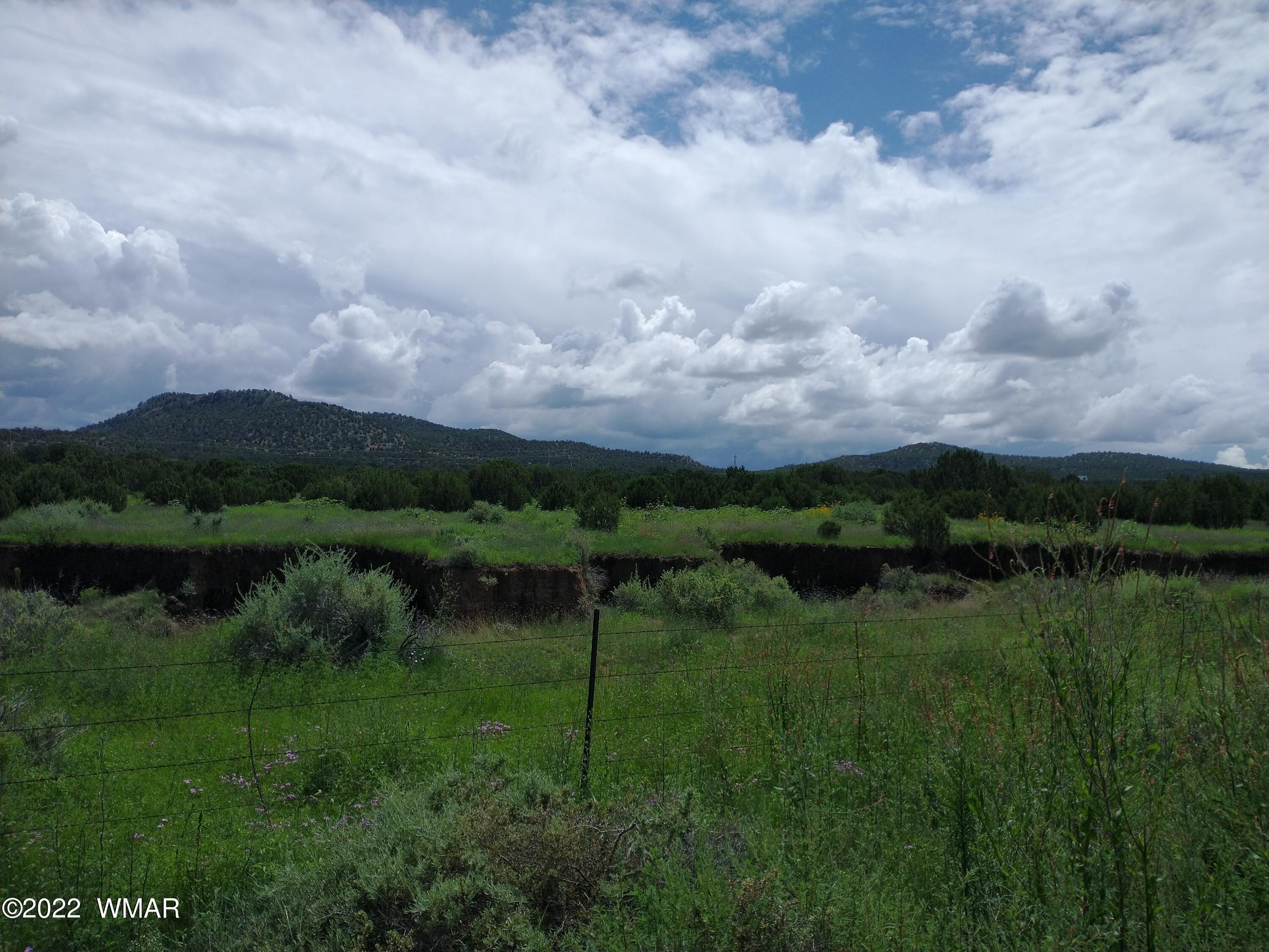 Concho, AZ Acreage