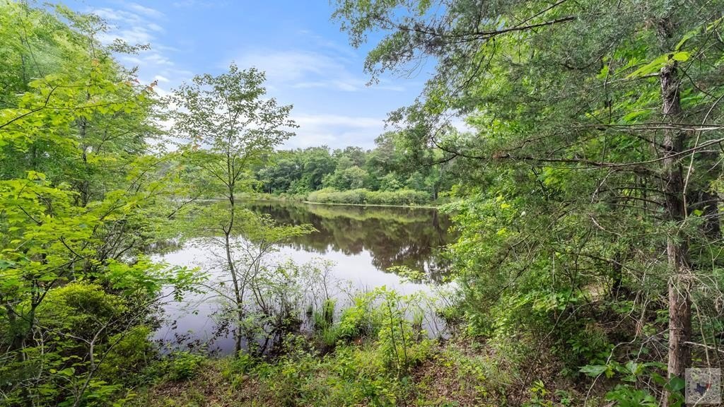 268 Acres Hunting Land in Atlanta