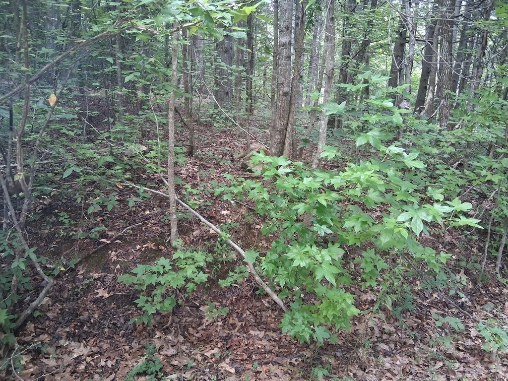 Picture 9