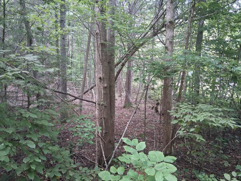 Picture 11