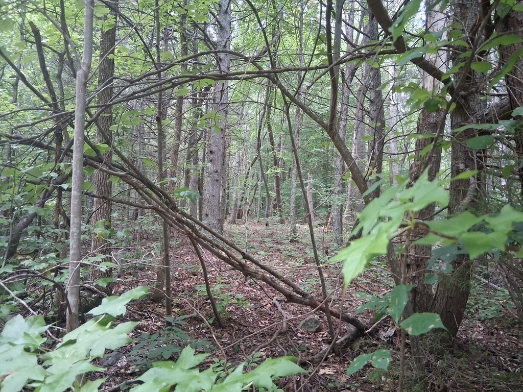 Picture 13