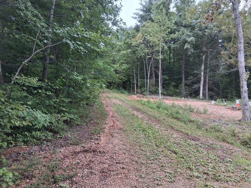 Picture 3