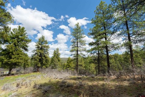 LAND - Pagosa Springs, CO