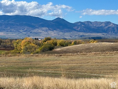 Land, Preston, ID