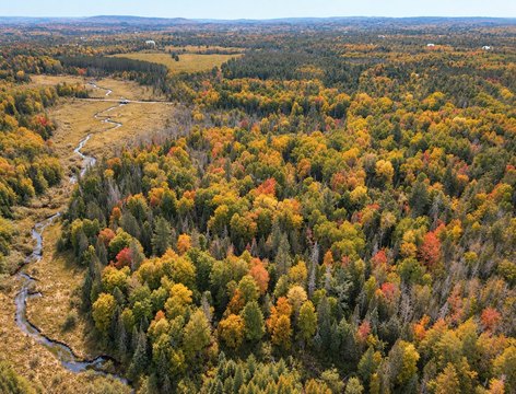 Creekfront Recreational Land