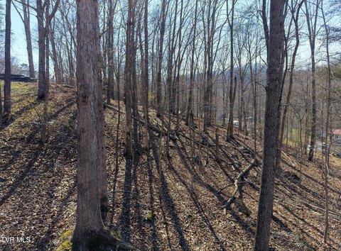 Residential Land in Bristol, TN