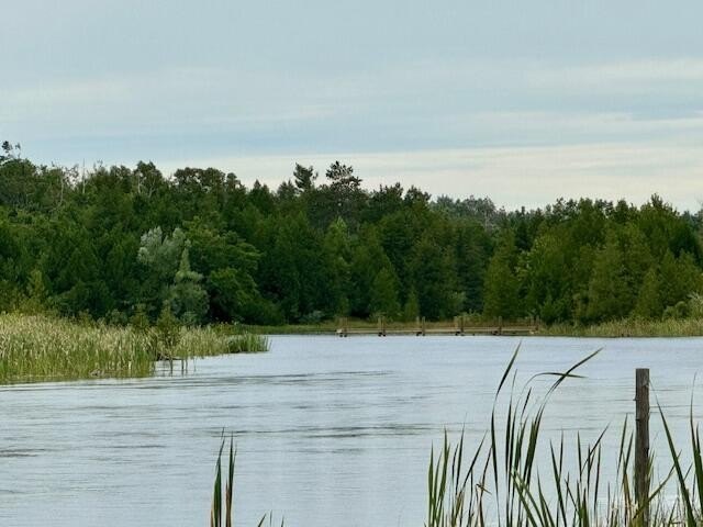 Picture 4