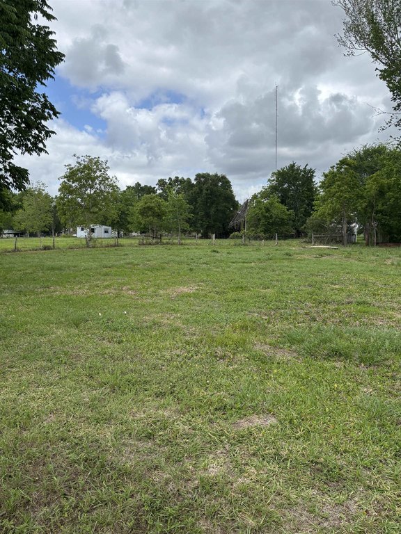 Picture 9