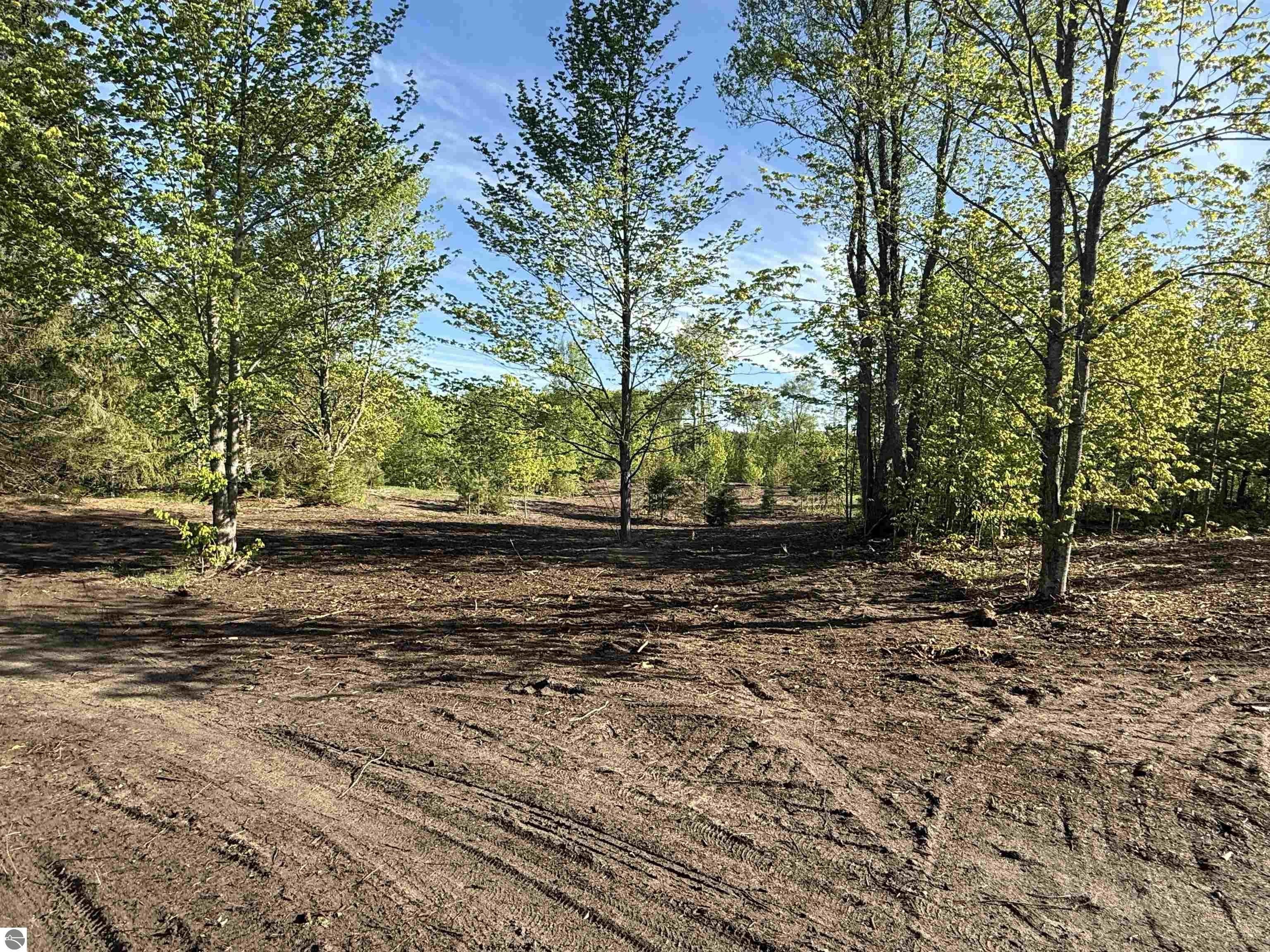 Land Parcel in Brightland Woods