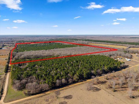 Timber and Pasture Ranch Land