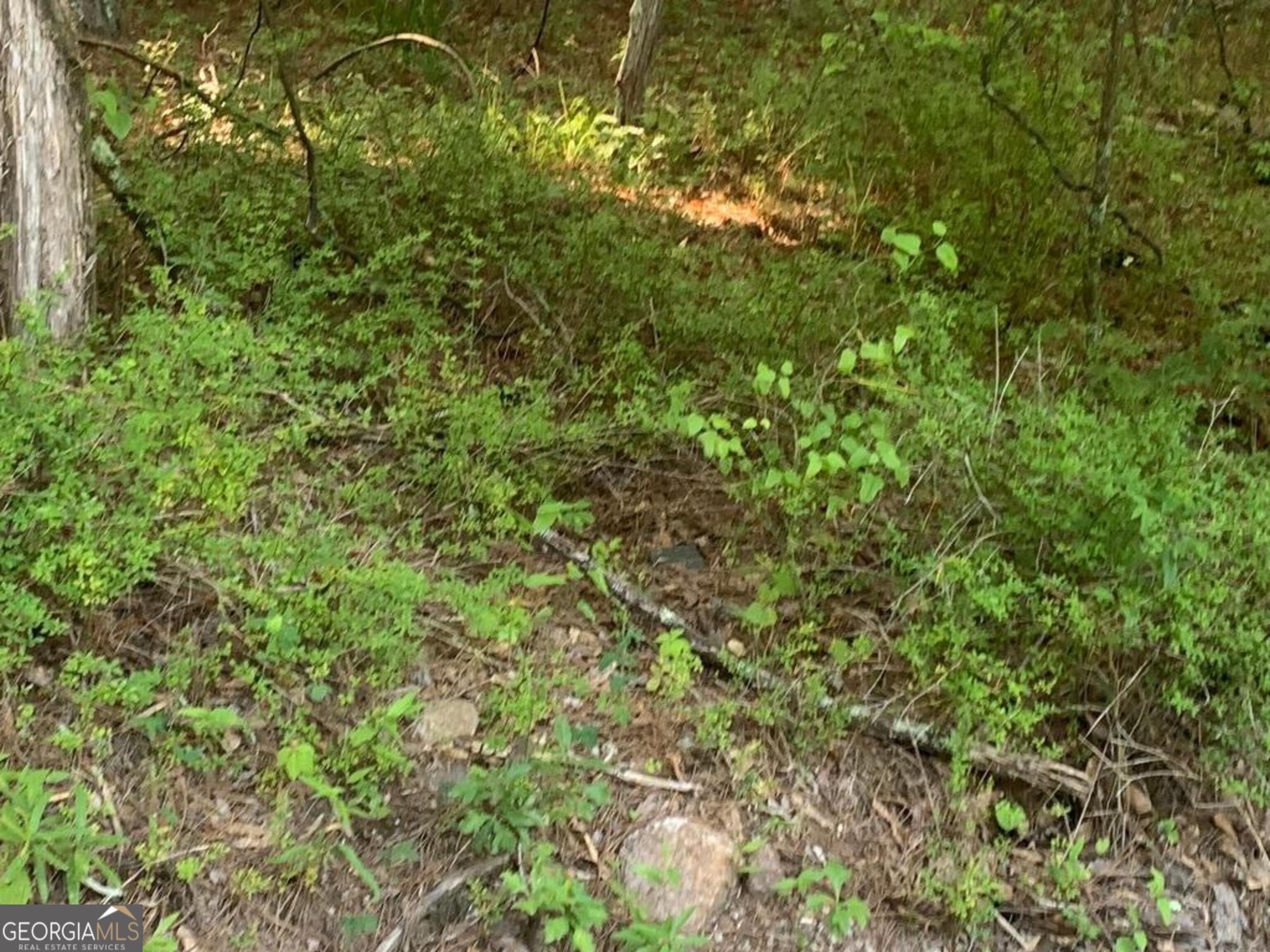 Fayetteville Land for Residential Development